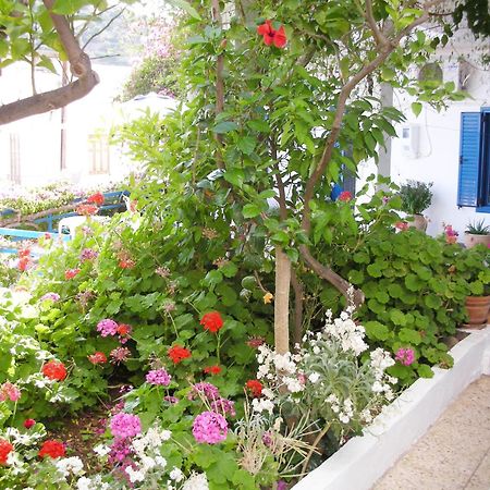 Hotel Hariklia Agia Galini  Exterior photo