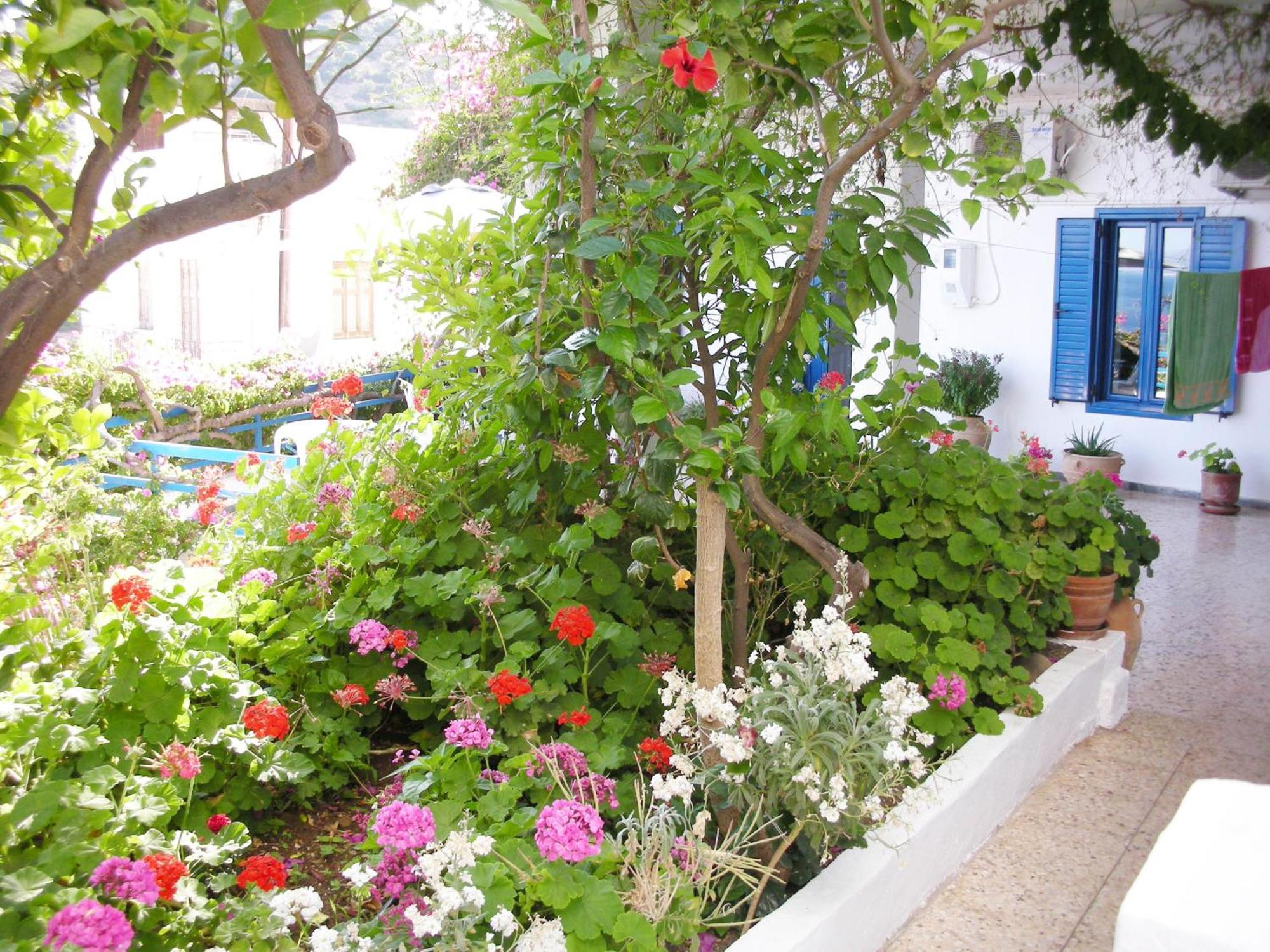 Hotel Hariklia Agia Galini  Exterior photo